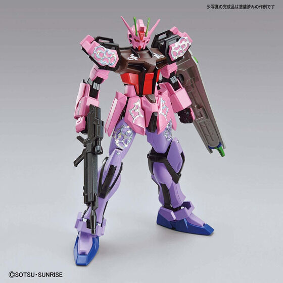 ENTRY GRADE 1/144 THE GUNDAM BASE LIMITED STRIKE GUNDAM [PAINTING MODEL] Official 05