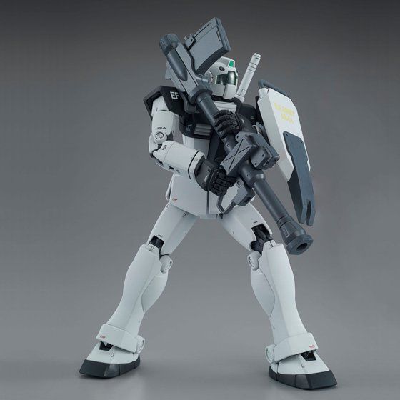 MG 1/100 GM (WHITE DINGO TEAM CUSTOM) Gallery 05