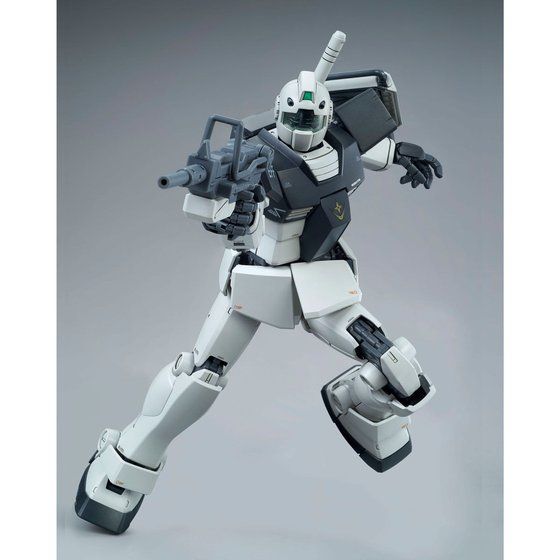 MG 1/100 GM (WHITE DINGO TEAM CUSTOM) Gallery 10