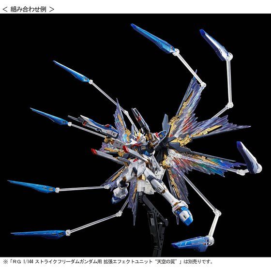 RG 1/144 STRIKE FREEDOM GUNDAM[TITANIUM FINISH] Gallery 10